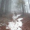 Schádzanie ku chatke - doma sa bude prať,